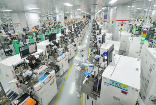 成績 亮眼 上半年濟(jì)寧市10項指標(biāo)增速進(jìn)入全省前5